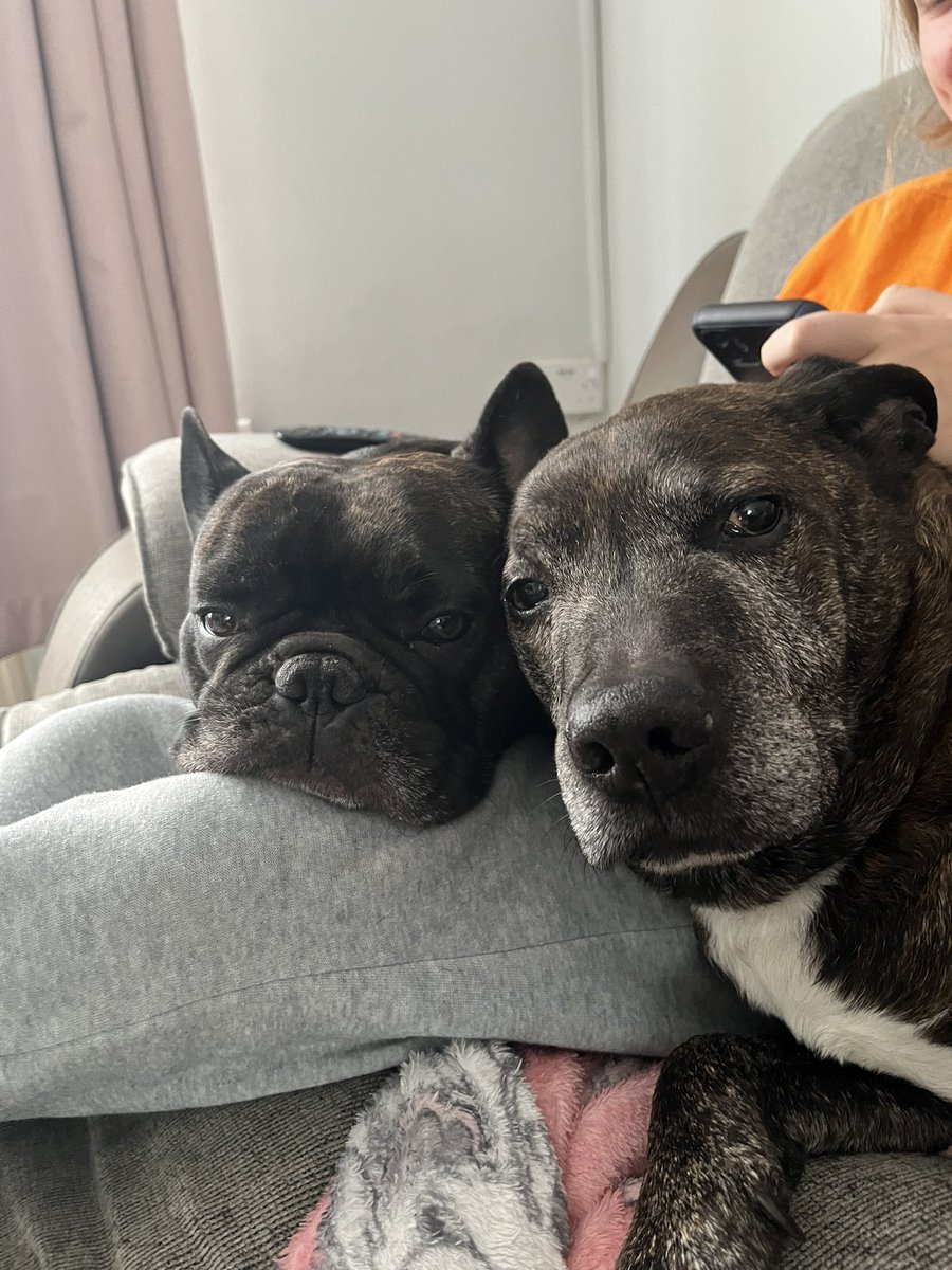 James rpg tweet media