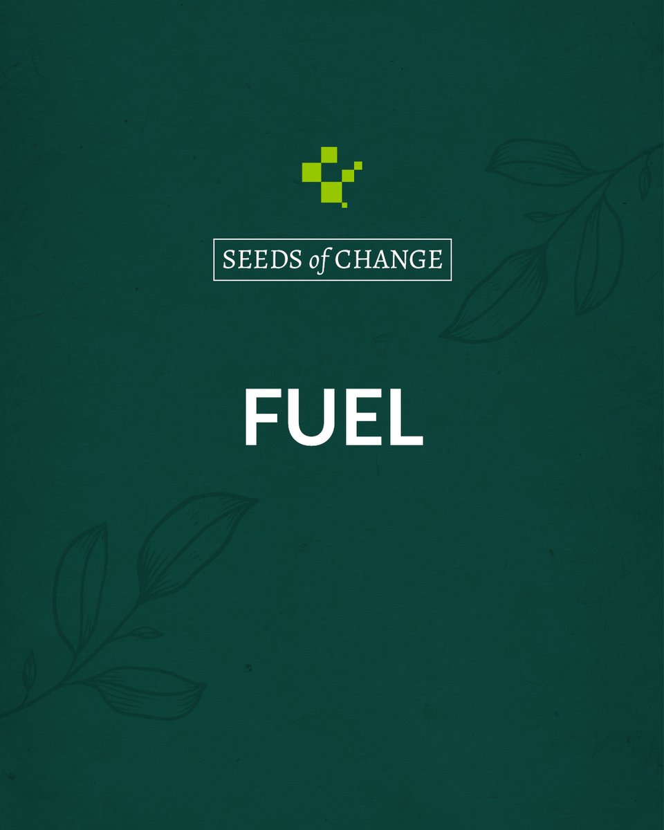 Fuel your body with nutritious food and drink lots of water. Healthy habits = happy body = good vibes all round.

#SeedsOfChange #EatClean #Hydrate #WellnessWarrior