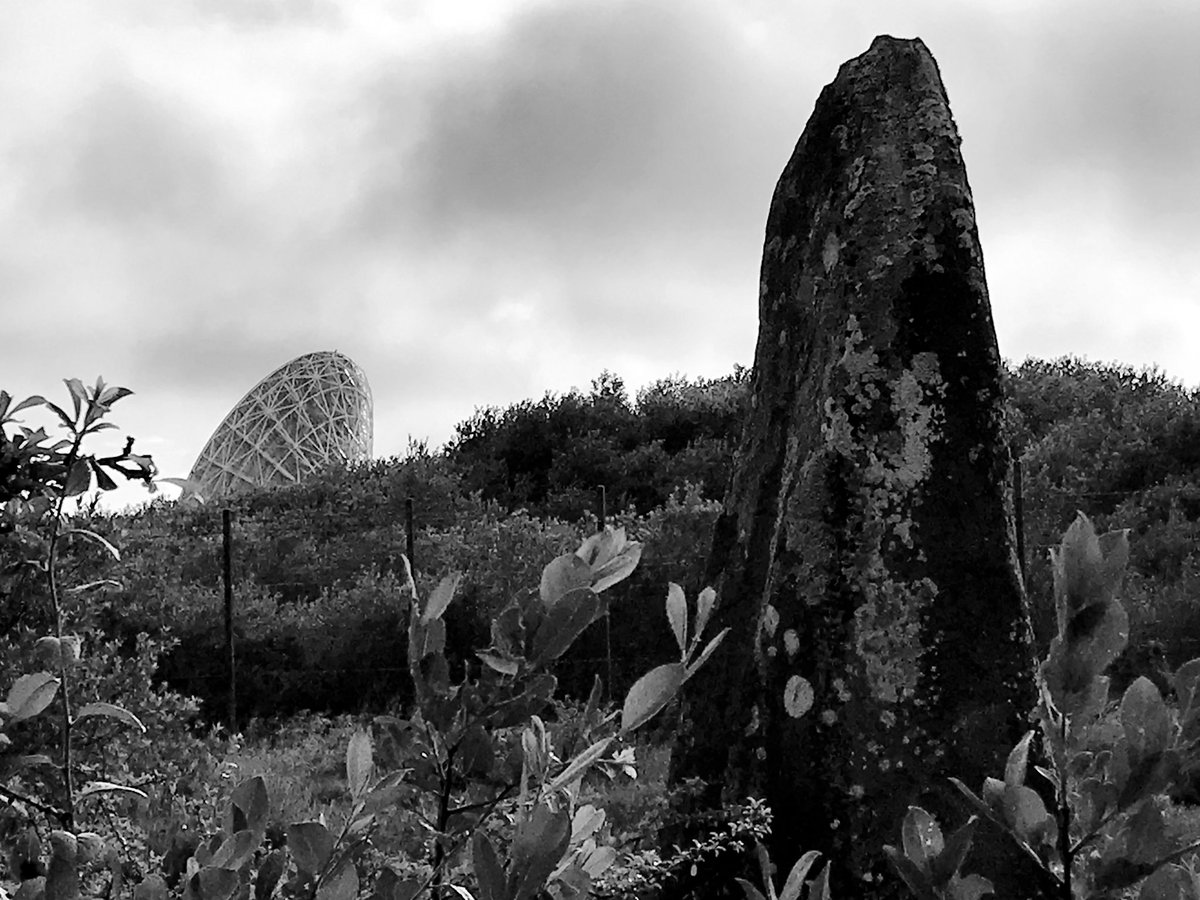 In the long, deep rooms of our DNA museum, a need to create not only landmarks, but to communicate across the borders of the known. For if nothing else, the stones teach us belief will manifest our desires to speak beyond vast silences. - Dr. K. Brophy #StandingStoneSunday