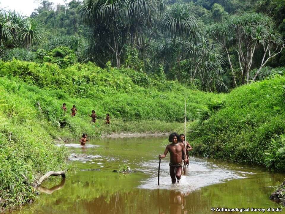 Les Shompen sont de lointains voisins des Sentinelles. Ils vivent dans la forêt tropicale de l’île de Grande Nicobar (qui fait partie de l’Inde) depuis environ 10 000 ans. Ils sont au nombre de 100 à 400 et la plupart d’entre eux n’ont pas été contactés.
1/