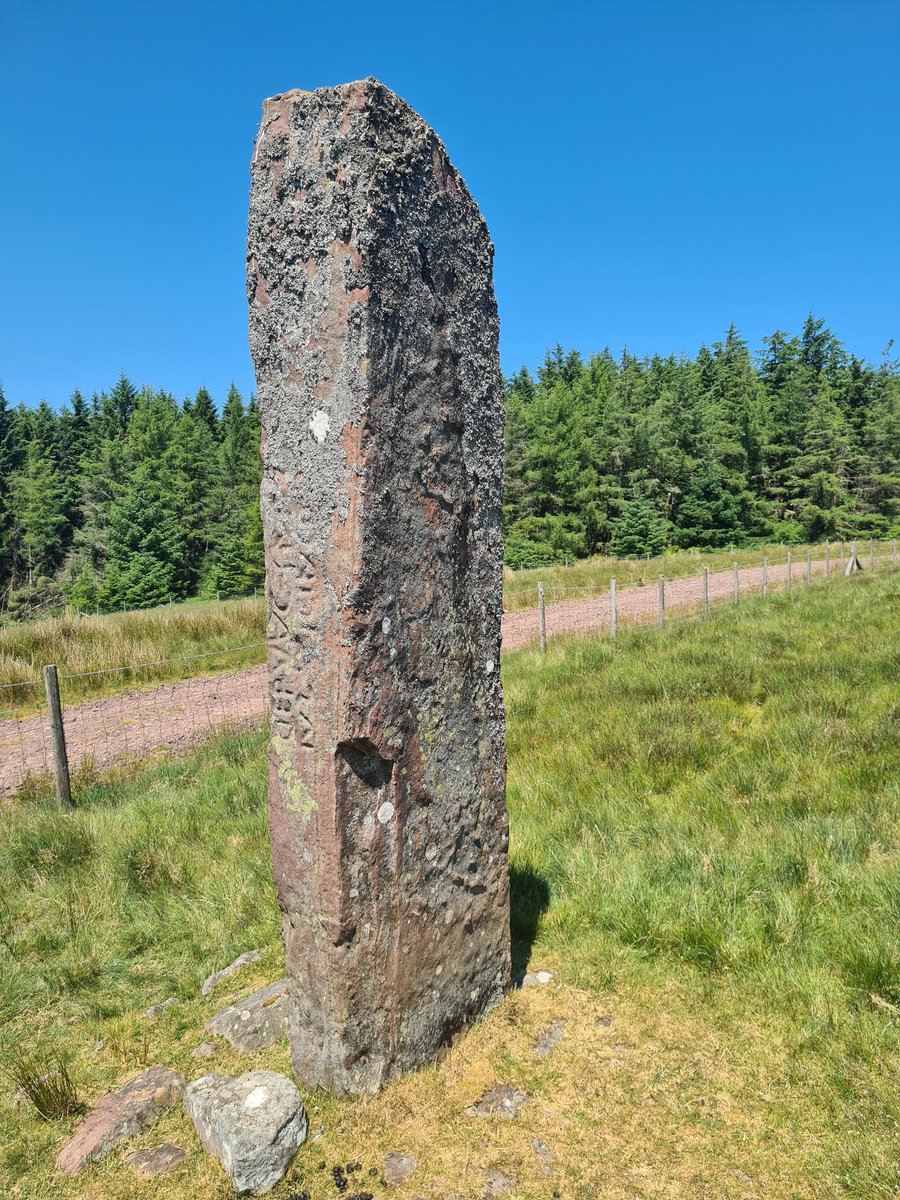 The #earlymedieval Maen Madoc #StandingStone located on Sarn Helen, a #RomanRoad in @BannauB. The stone is inscribed with the Latin text 'DERVAC- FILIUS/IVST - (h)IC IACIT' which translates as 'Dervacus, Son of Justus lies here' #archaeology #NationalPark 
breconbeacons.org/things-to-do/a…