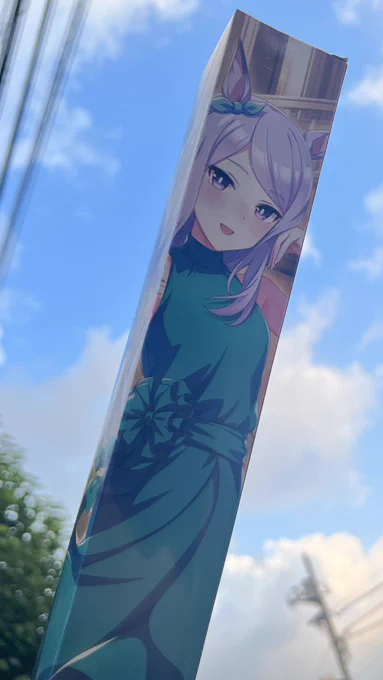 #成し遂げた・゜・(ノД`)・゜・