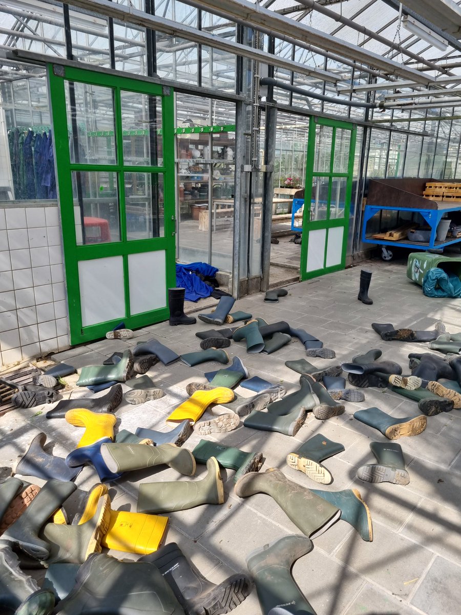 Zojuist een melding van vernielingen  bij de kas/leslocatie van het #praktijkonderwijs aan het Van Doorneplantsoen.  Dit zou gisteren middag 16.30 en vanochtend 08.30 u gebeurd zijn.  Heeft u iets gehoord of gezien, meld u als getuige 0900-8844 of bel bij heterdaad 112. #politie