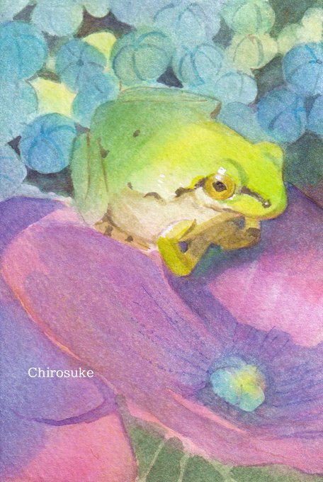 「frog painting (medium)」 illustration images(Latest)