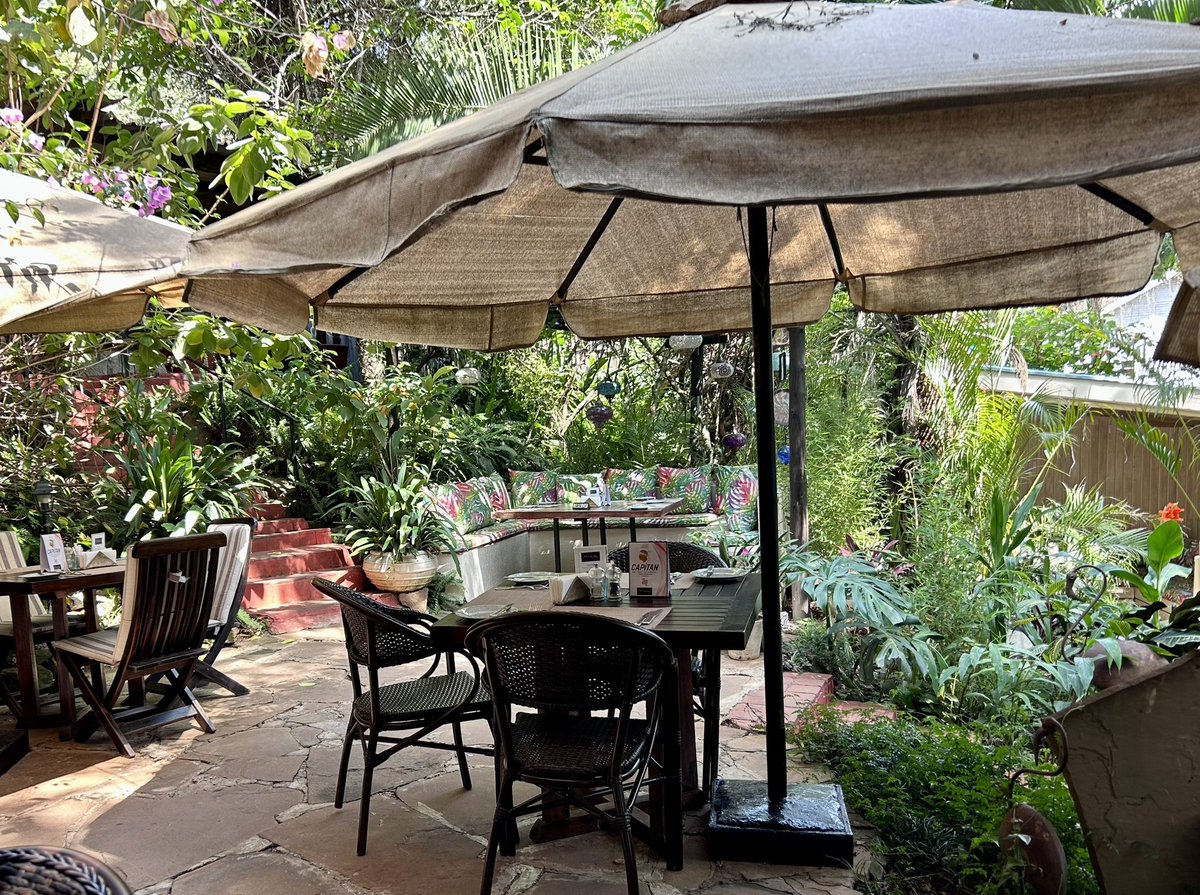 Jason Marshall on Twitter "Had brunch in a leafy garden About Thyme