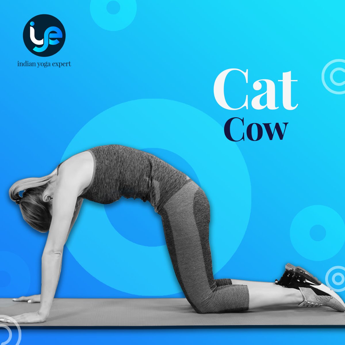 Purrfectly Aligned: Finding Harmony in the Cat Cow Pose

Interested to know more? Click on the link below.
lnkd.in/gjQ-afG7

#IndianYogaExpert #YogaExpert #Yoga #YogaTeacher 
#YogaTeachers #YogaPortal #YogaBenefits #Fitness #BenefitsOfYoga #yogainstructor #immunity #diet