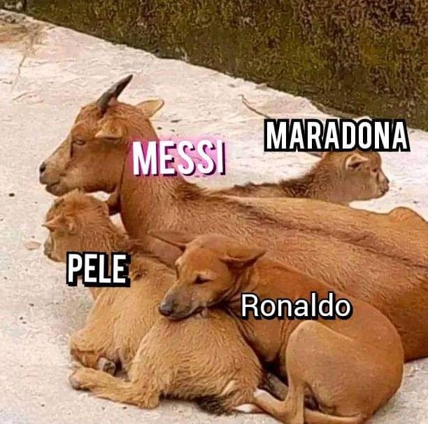 The GOAT debate be like: