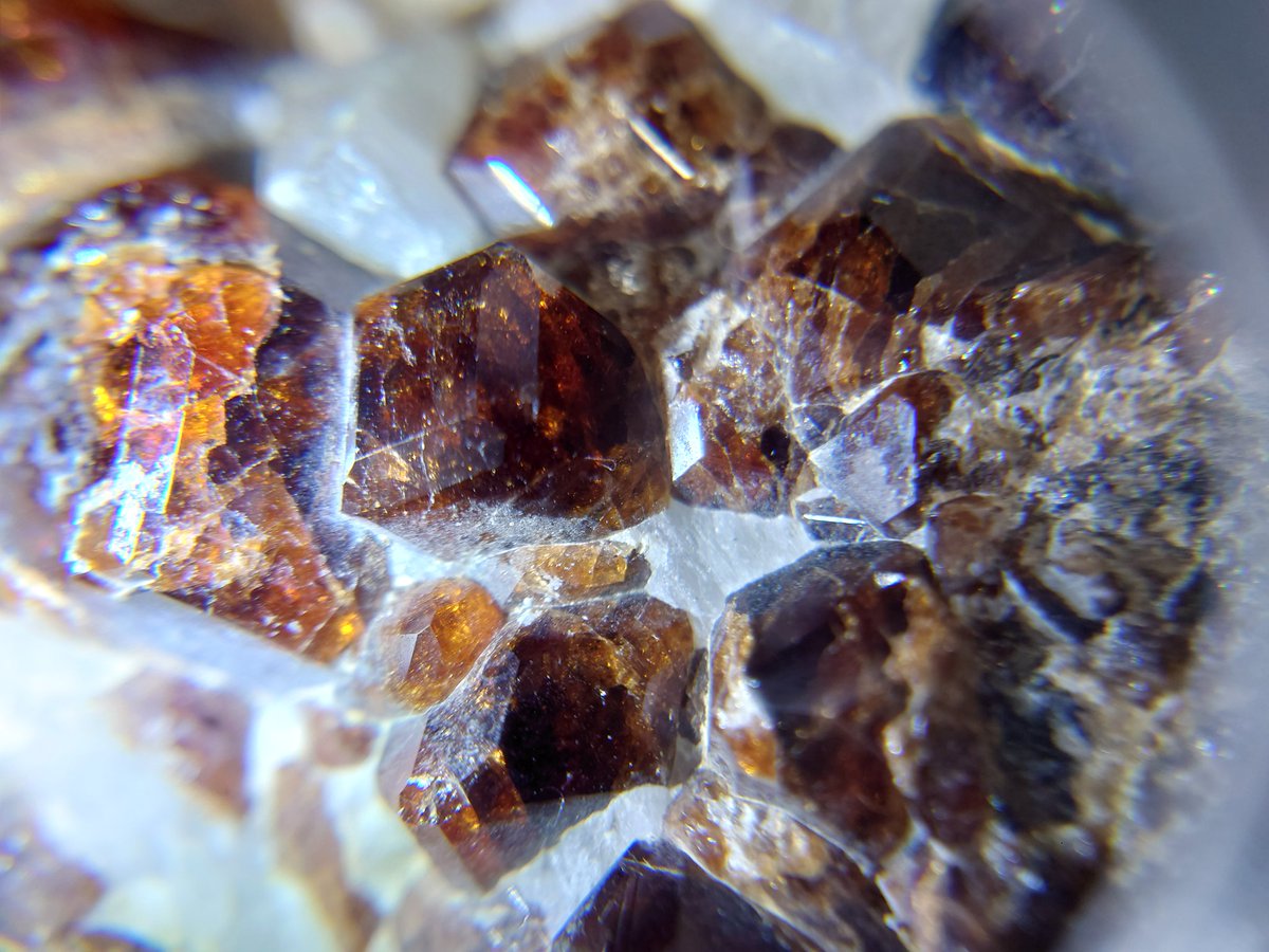 junos_phyllon's tweet photo. 満礬柘榴石( #spessartine) ？
Size：140×110×50mm  900g
骨董市にて

柘榴石系なんだろうなあと思って1500円でお買い上げ。満礬柘榴石に似ている気がするのだけど、正確な鉱物名が知りたい… 
結晶部はオレンジががったブラウンで透明感あり。茶褐色に近い。石英と共生。等軸晶系に見える。 https://t.co/w4vAU6DJdy