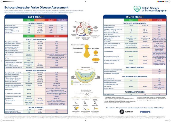 Echocardiography: Valve Disease Assessment
#TipsForNewDocs #MedEd #MedTwitter #medicine #medical #medicare #health #healthcare #FOAMed #ClinicalPearl #clinicaltips #MedStudents #CardioEd #Cardiology #CardioTwitter #Cardiovascular