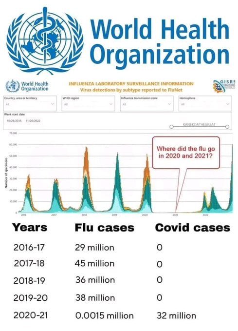 It’s amazing how people don’t question where the flu disappeared to during COVID- it vanished. How is that even possible that two viruses could work so well with one another?

Sometimes, a little skepticism can go a very long way.