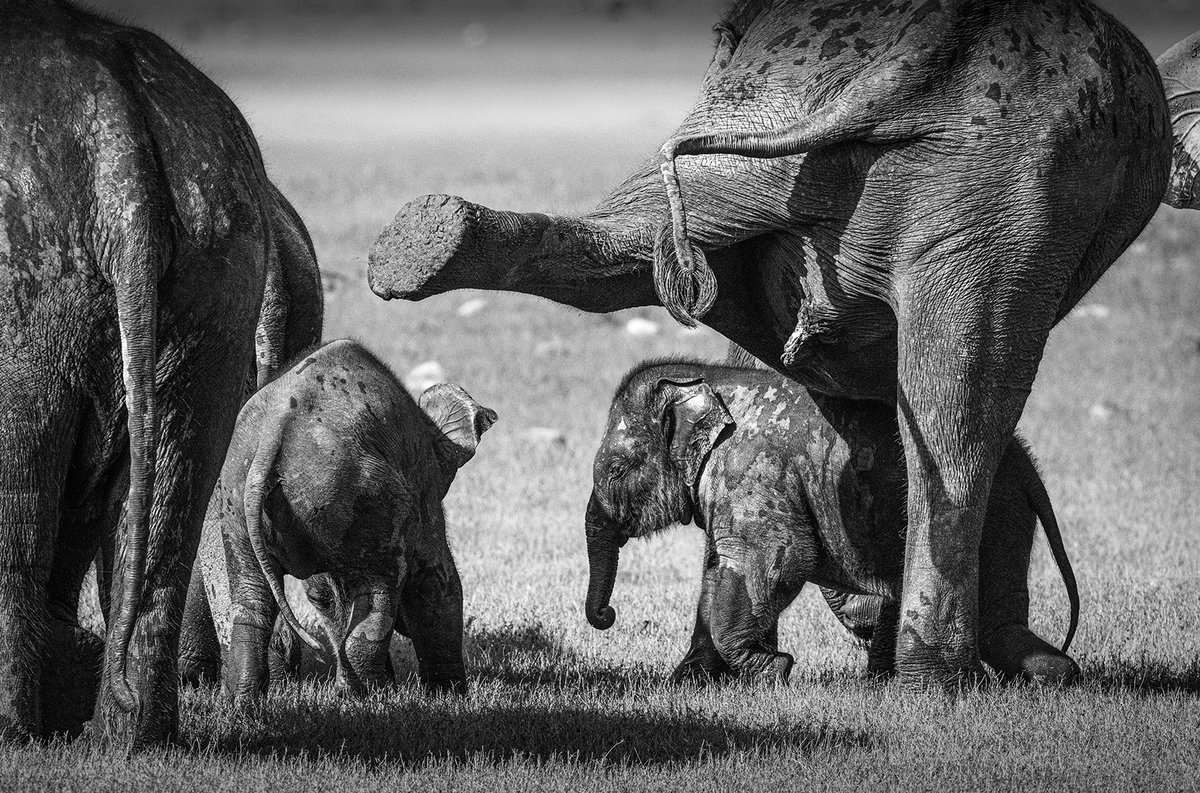 Akash Das tweet media