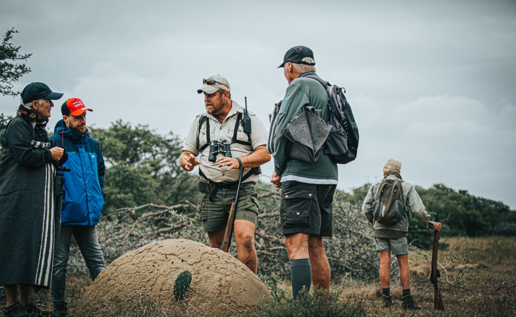 Amakhala Reserve tweet media