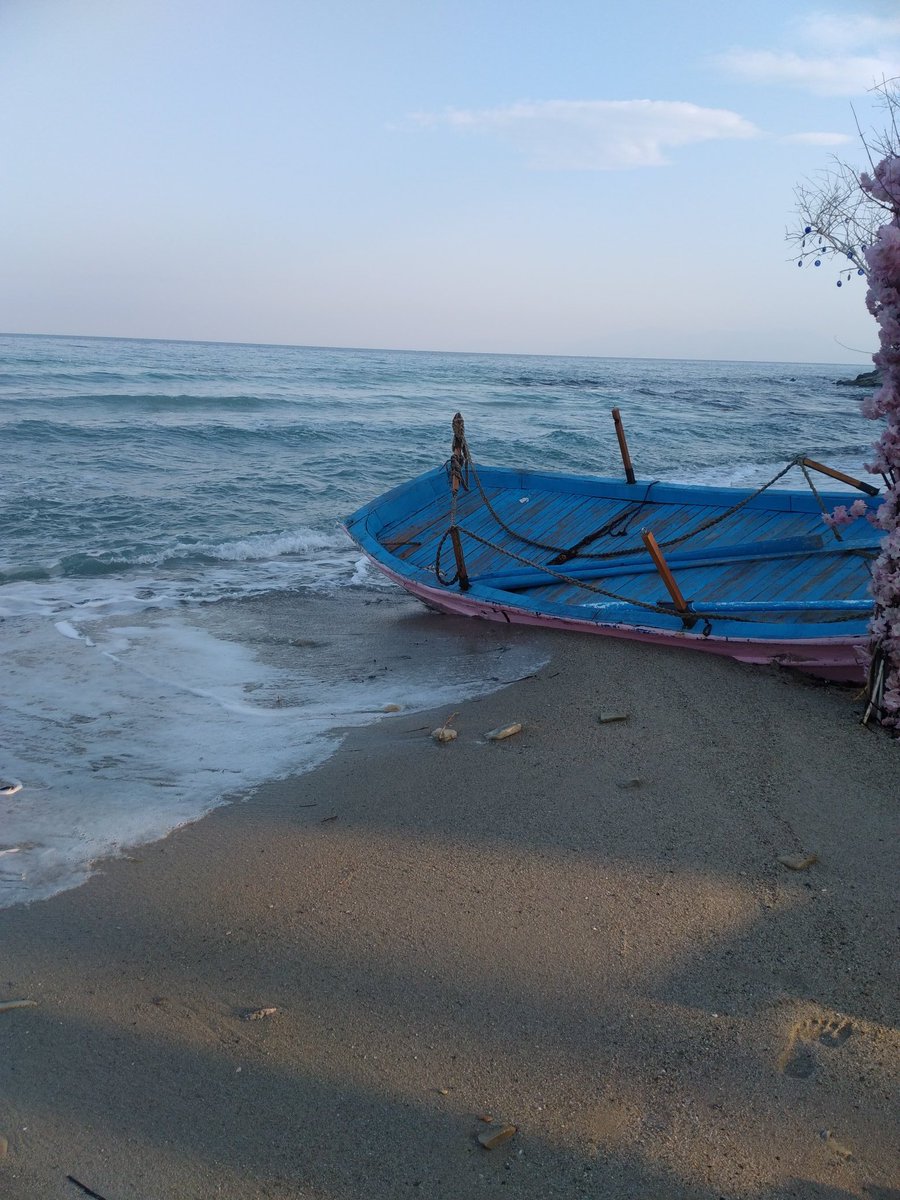Arkadaşım bir gün sormuştu 
' Hayatta en çok neden korkarsın? '
" Hayatta en çok AYRIK OTU gibi yaşamaktan korkarım 
Sadece Su ve Havaya ihtiyaç duyup kimseye faydası olmamış, zararlı biri gibi ayak altında ezilmekten, yolunup yok olmaktan korkarım " 
Okur, düşünür, paylaşırım.