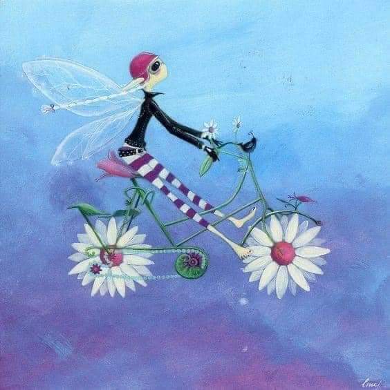 flowery bicycle 🚲🚵🚴‍♂️🚲