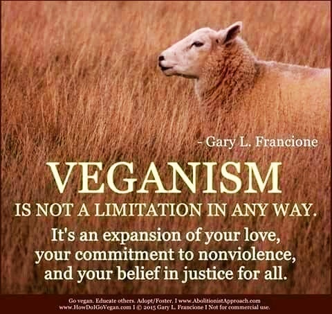 Il veganismo non limita la tua vita ma la rende migliore. Go Vegan #plantbased #govegan #animalrights #veganfood #vegan #nomeat #veganism #crueltyfree #veganlife #vegetables #nomilk #vegano #veganrecipes #climatechange #veganfortheanimals #veganfortheplanet #veg #empatia #empathy