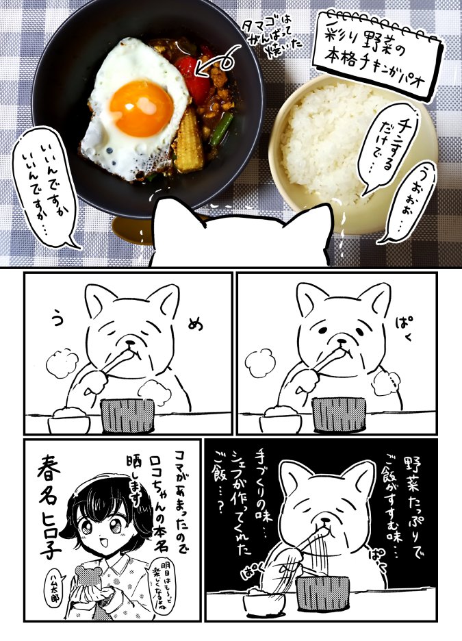 『無』の日でも美味しいご飯が食べたい #PR #GREENSPOON