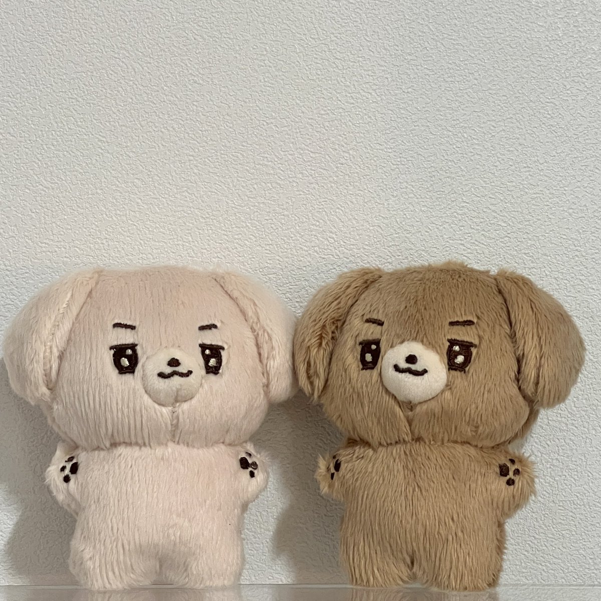 GYUddong830's tweet photo. 안녕하세요 규똥 어머님들! 규똥이가 왔어요🐾

규똥은 둘이 될 수 없는데… 왜 두 마리냐면…
규똥이 털 색을 아직 결정을 못했기 때문입니다🥹

아래 타래로 털 색 투표를 달아둘테니 의견 한 번씩 부탁드려요!

털 색 외의 의견은 계정 스핀을 이용해주세요💕 https://t.co/6LG6EGiyCc