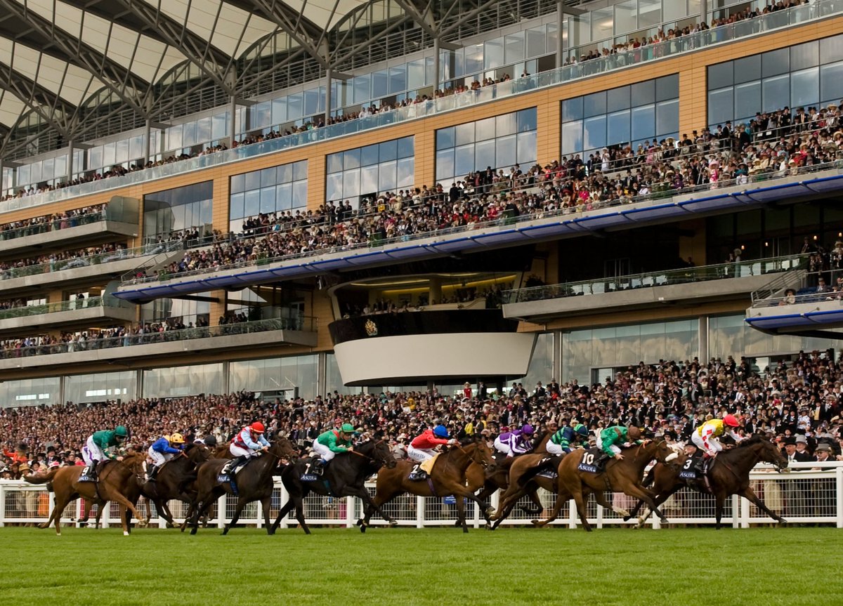 The Winners Enclosure tweet media