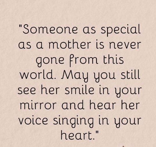 ꧁•⊹٭𝙱𝚎𝚕𝚕𝚊 𝙱٭⊹•꧂ tweet media