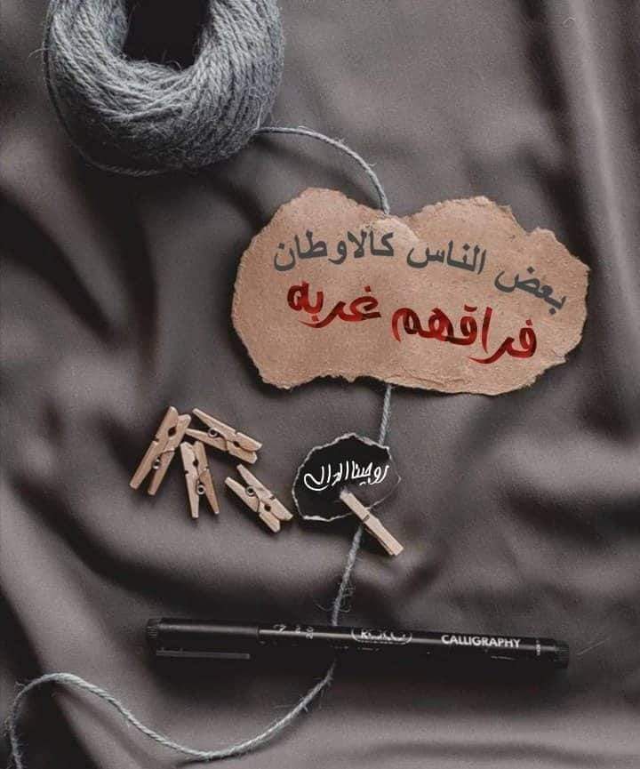 Mxho_'s tweet photo. ⠀⠀⠀⠀⠀⠀⠀⠀⠀⠀⠀⠀⠀⠀⠀⠀⠀⠀⠀⠀⠀⠀⠀⠀⠀⠀⠀⠀⠀⠀⠀
بغض النظر عن كل ما حدث بيننا ، أنا دائماً أحبك 
⠀⠀⠀⠀⠀⠀⠀⠀⠀⠀⠀⠀⠀⠀⠀⠀⠀⠀⠀⠀⠀⠀⠀⠀ https://t.co/WelITvyR7k