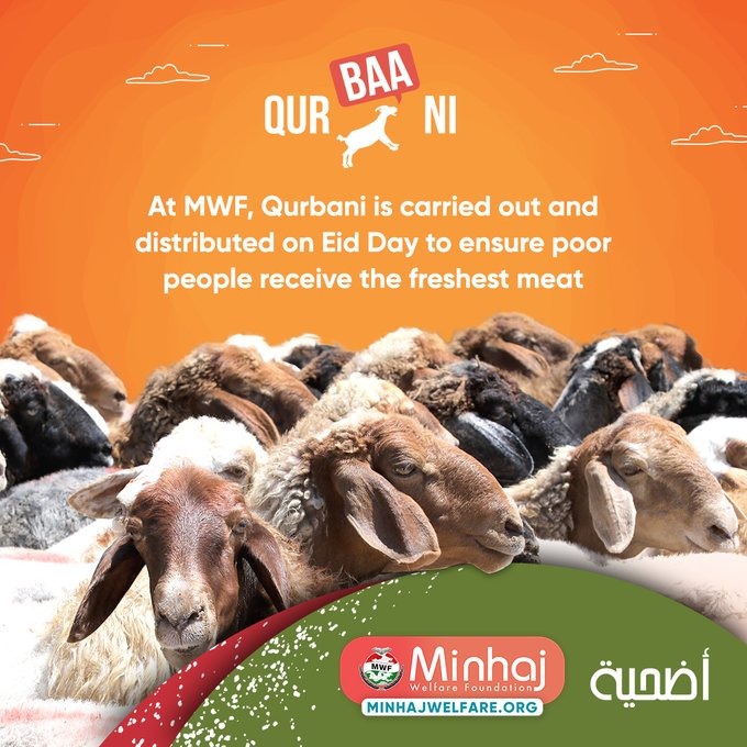 شہزاد اکبر (@shahzadtmq) on Twitter photo Every year on the occasion of Eid-ul-Adha, Minhaj Welfare Foundation organizes mass sacrifice of thousands of animals across the country.
<a href="/minhajwelfare/">Minhaj Welfare</a>
#QurbaniWithMWF Every year on the occasion of Eid-ul-Adha, Minhaj Welfare Foundation organizes mass sacrifice of thousands of animals across the country.
<a href="/minhajwelfare/">Minhaj Welfare</a>
#QurbaniWithMWF