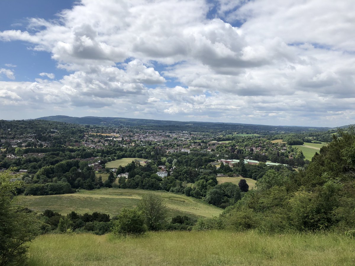 LondonWlogger's tweet photo. Glorious greenery as far as the eye can see 😍 #BoxHill #VisitSurrey @VisitSurrey https://t.co/KAKdymYnxB