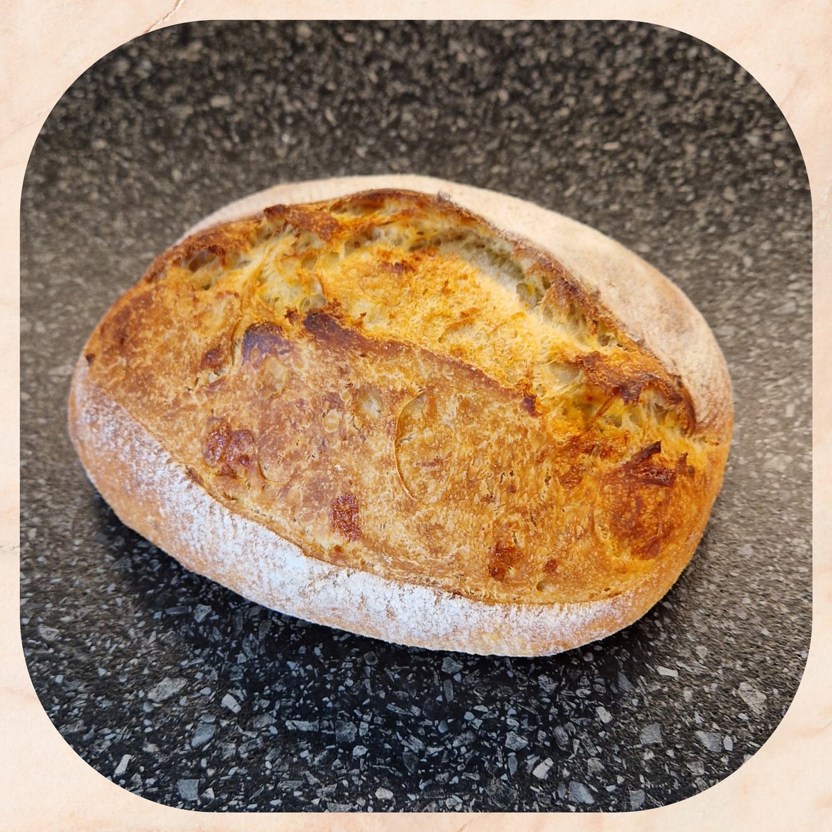 ShanDS14's tweet photo. ^_* Cheese Sourdough with Chilli ~ 🍞🧀🌶🍞
Playing with the dough and birds eye chilli, just one... hahaha 🍞🥰🤣🍞
#Sourdough #Dezgard16 #Cheese #ChilliHeat #FunofBread https://t.co/cdcEfE5q9K