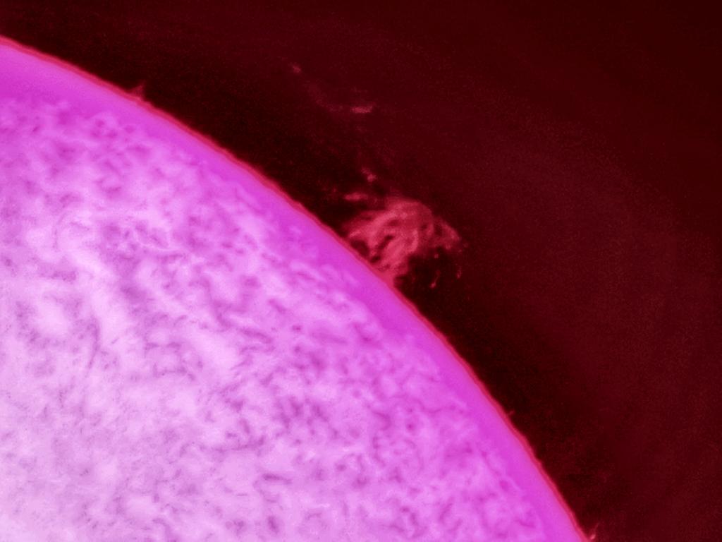 LeoAstronomada's tweet photo. Espectacular #protuberancia #solar de hace unos minutos. Los detalles visuales son indescriptibles 😍 
( 10:00 UT )
Al final siempre peco...  captura con el teléfono asomado al ocular del telescopio solar @LuntSolar https://t.co/hfzTlyVQOZ