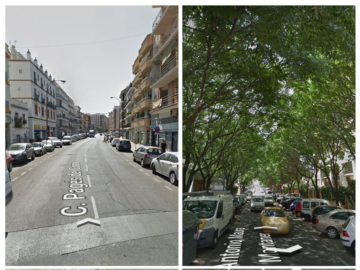 ⚠️🌡️ Mañana AVISO ROJO 🔴: Riesgo Extremo por temperaturas muy elevadas. Será ya el cuarto día de temperaturas cercanas o por encima de 40 grados (mañana 44).
Necesitamos más árboles y sombra para las calles de #SevillaHoy 🌳🌳🌳
<a href="/jlsanzalcalde/">José Luis Sanz</a> <a href="/eveliarincon/">Evelia Rincón</a> <a href="/Ayto_Sevilla/">Ayuntamiento de Sevilla</a>