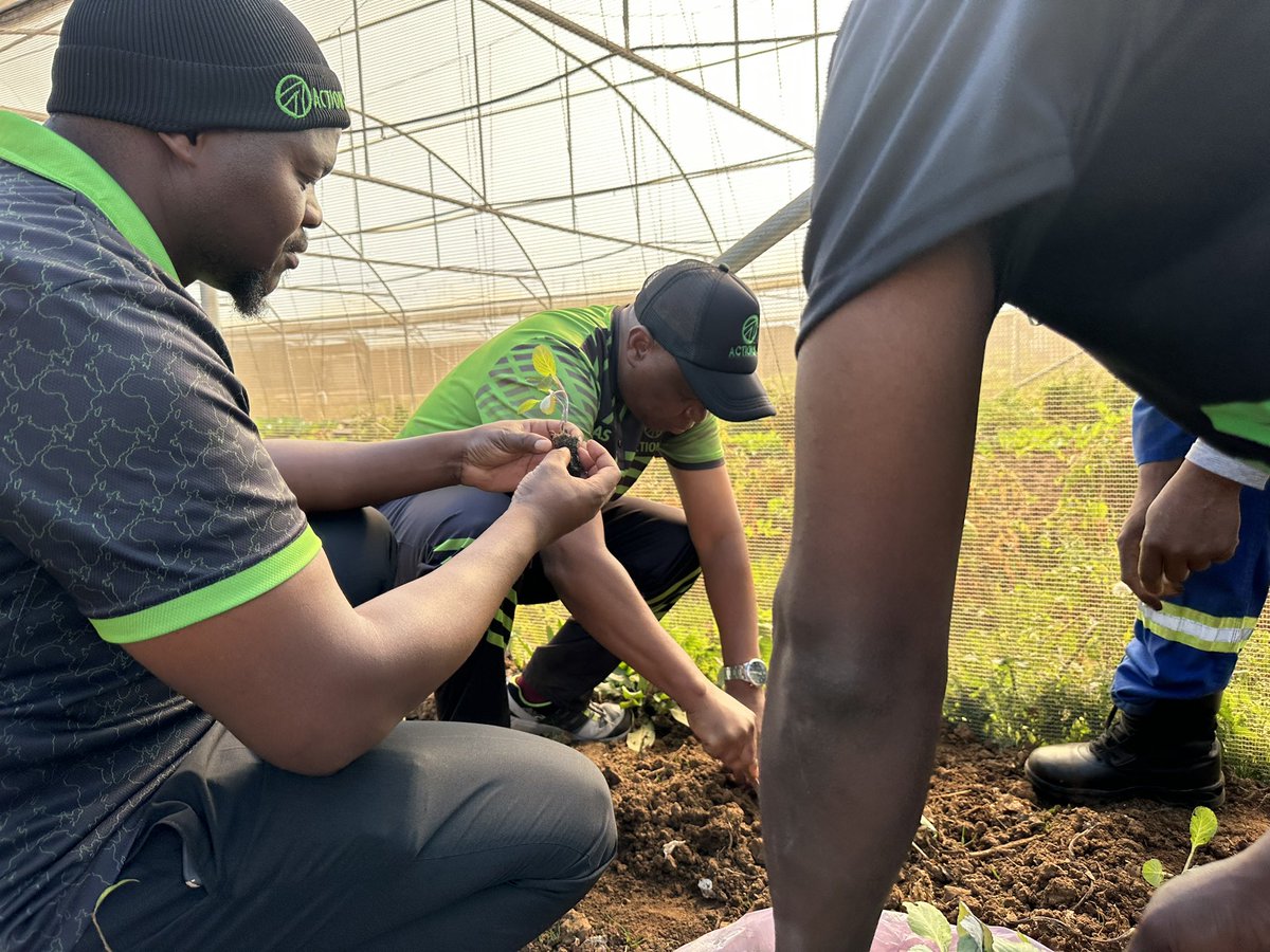 ActionSA_GP's tweet photo. ActionSA President @HermanMashaba helping to plant seedlings at a Farm with ActionSA project in City of Johannesburg Ward 7 #LetsFixSA https://t.co/Gj8lTCANa5