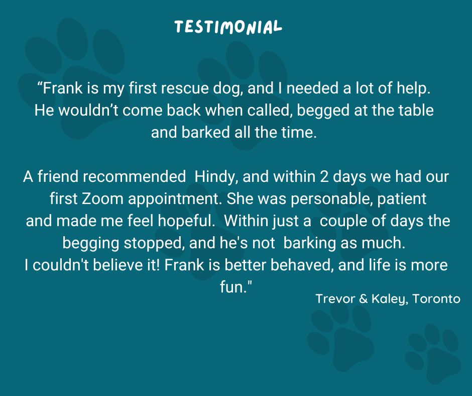 #testimonials #rescuedog #greatadvice #dogtraining #forcefreedogtraining greypawsandall.com/virtual-dog-tr…