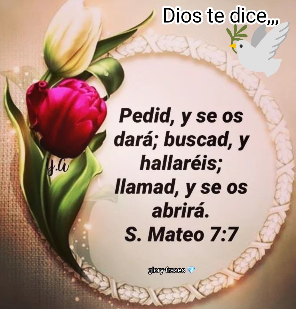 Glory_Flowers's tweet photo. Hola,buen día! Bendiciones! 🤗☕💞💎 https://t.co/YaOaLSUd9D