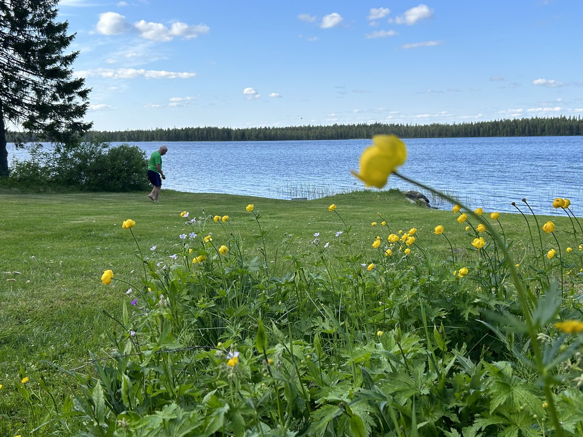 TimoSipola's tweet photo. Juhannuksen vietto Korppiniemen idyllissä itärajan tuntumassa kaukana maailman melskeistä on soljunut uutiseurantaa lukuun ottamatta lähes kuin venäläisissä maaseutuelämää kuvaavissa klassikoissa.
Aika on pysähtynyt, kärpäset surisevat, aurinko porottaa eikä ole kiire minnekään. https://t.co/cH6BrTgVGp