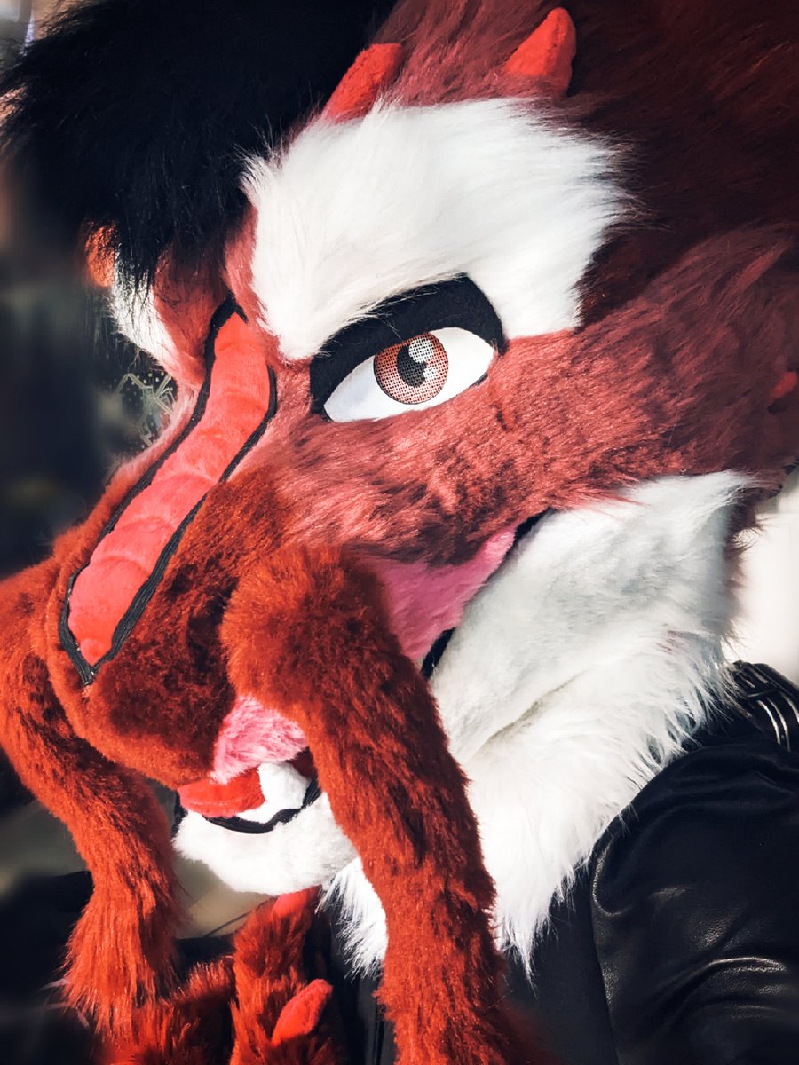 LeonHusker's tweet photo. His head is done!!
For @PawBoyJay !! https://t.co/gHHJnCDZai