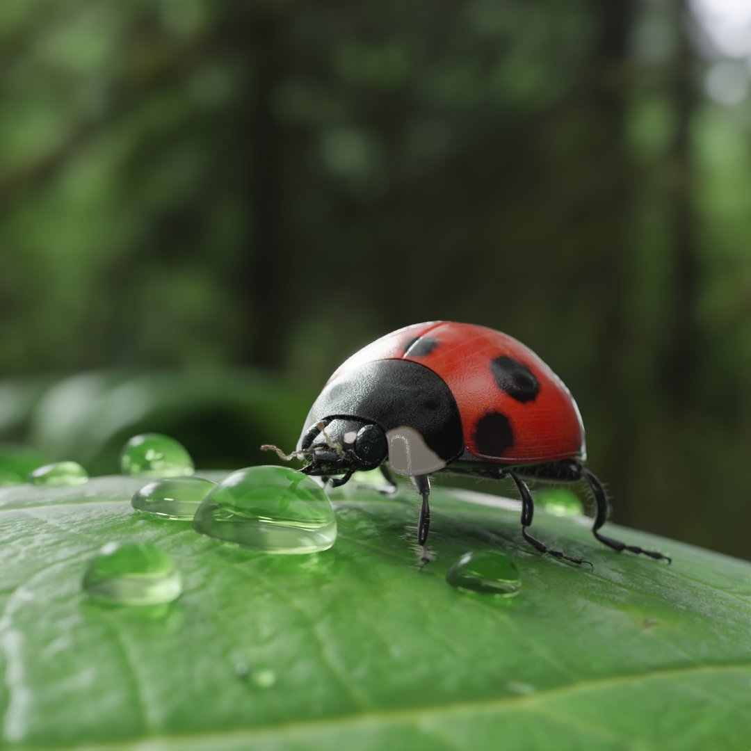 'The leaf and the ladybug' by Arleison blenderartists.org/t/the-leaf-and… #b3d #blender3d #blenderart #blenderrender #blendercommunity