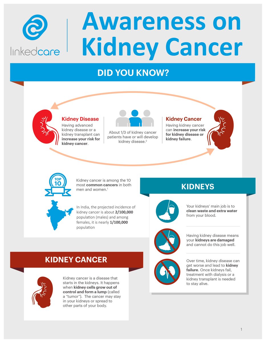 Linkedcare_In's tweet photo. Kidney cancer can be a serious condition, and raising awareness about its signs, symptoms, and risk factors is crucial for early detection and effective treatment.
#FightKidneyCancer #KidneyCancerAwareness #KidneyCancerResearch #KidneyCancerSurvivor https://t.co/4sYf1RubqT