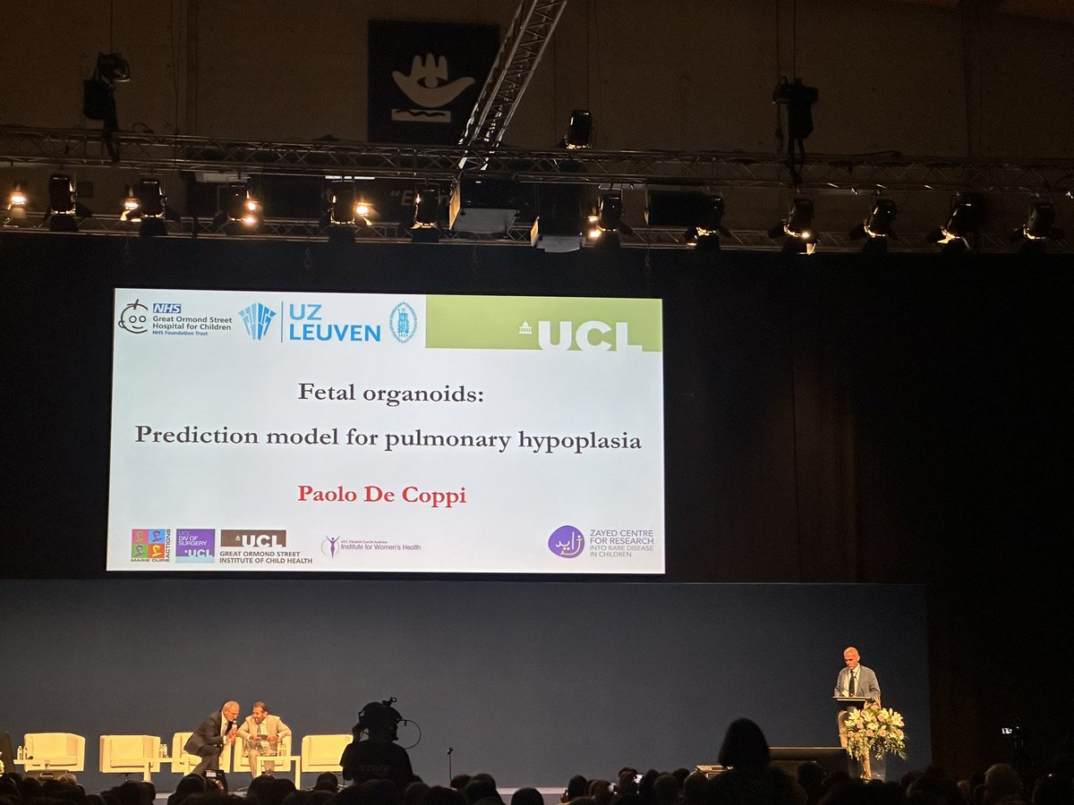 Panicos Shangaris, PhD (@pshangaris) on Twitter photo An incredible presentation by <a href="/paolodecoppi/">Paolo De Coppi</a> on fetal organoids and their potential as a prediction model for pulmonary hypoplasia at the #FMF conference in #Valencia Mind-blowing research pushing the boundaries of medical science! #FetalOrganoids <a href="/InUteroTherapy/">Loukogeorgakis Lab</a> <a href="/PrenatalTherapy/">Anna David</a> An incredible presentation by <a href="/paolodecoppi/">Paolo De Coppi</a> on fetal organoids and their potential as a prediction model for pulmonary hypoplasia at the #FMF conference in #Valencia Mind-blowing research pushing the boundaries of medical science! #FetalOrganoids <a href="/InUteroTherapy/">Loukogeorgakis Lab</a> <a href="/PrenatalTherapy/">Anna David</a>