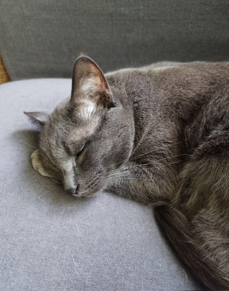 Pazar yukumda günün çıtırı seçildim