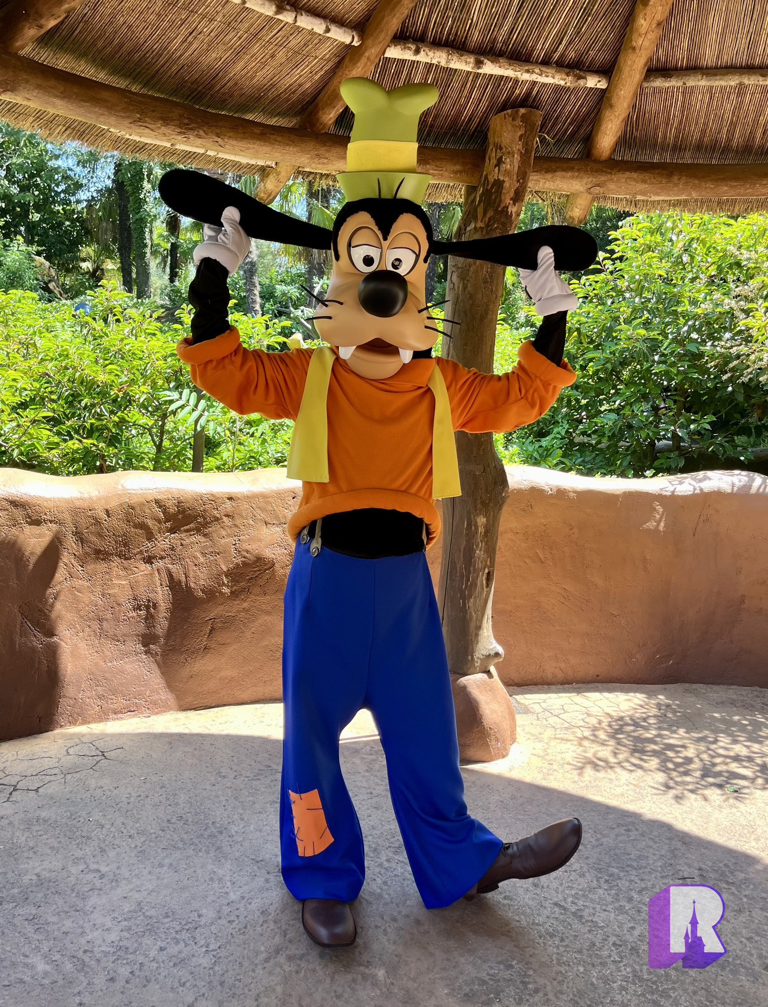 Goofy disneyland on sale