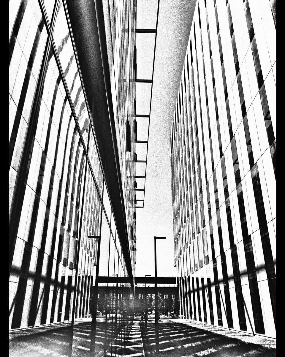 gedeclectic's tweet photo. Oxford Road Manchester University Buildings

#architecturephotography #urbanphotography 
#monochrome #photooftheday
#bnw #bw #bnwphotography
#travelphotography 
#bnw_captures #bwphotography 
#bnw_society #photo 
#manchester #manc
#manchesteruniversity

IG &amp; TW @gedeclectic https://t.co/kM88LwWVTa