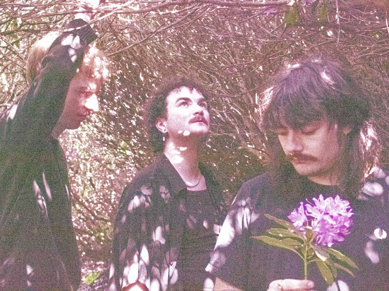 SMF 🇺🇦🇵🇸 tweet media