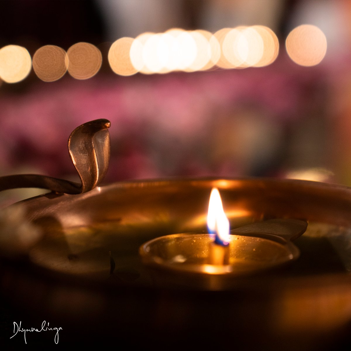 Celebration of the 24th anniversary of Dhyanalinga Consecration at the Isha Yoga Center was a special one. The presence of fresh flowers symbolized beauty, blossoming and a heartfelt offering, infusing the air with a fragrant and visually enchanting ambiance. The gentle…