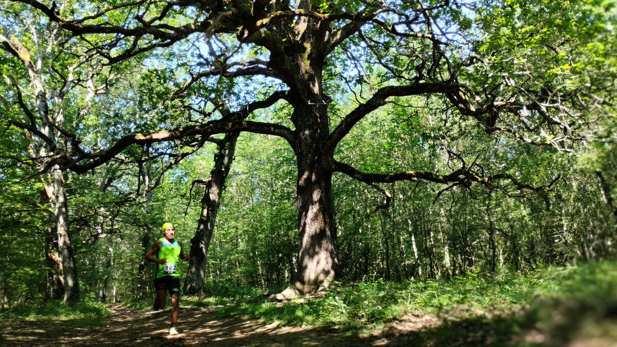 Etxarri Aranatz ha acogido una nueva edición de la <a href="/Trikutrail/">Trikutrail</a>. Muy pronto, fotos e información en nuestros espacios