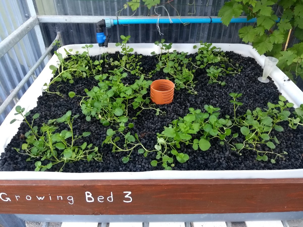 Keywater Fisheries tweet media