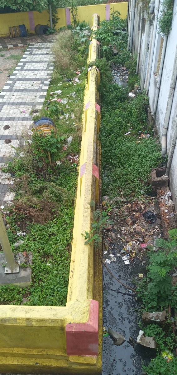 Santanu_Barad's tweet photo. @BrahmapurCorp @HUDDeptOdisha @Ganjam_Admin Do the needful at sishu udyan - tulasi nagar 8th lane https://t.co/IOHpe5tHZx