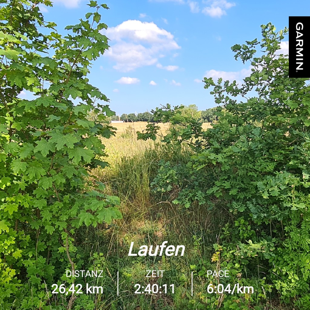 Hitzeschlacht , körperlich und mental ne echte Herausforderung heute
#nevernotrunning #byebye06