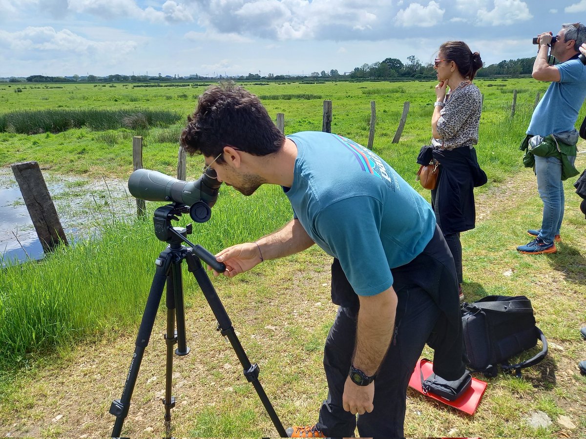 GuideNature44's tweet image. Envie d'#activités #nature loin de la foule ? Contactez moi pour une #sortie en petit groupe à la découverte des #animaux et #plantes du @PnrBriere en #LoireAtlantique 
antoinemercier-guidenature.fr