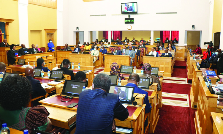 The Namibian On Twitter Political Experts And Opposition Members Of 