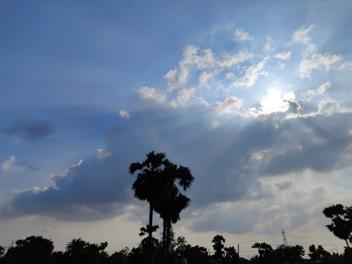 Avinashkmratish's tweet photo. Trees, clouds and sunshine ⛅🌥️

#trees #clouds #sunshine #nature #naturephotography #eveningcapture https://t.co/IQTFMYwuXM