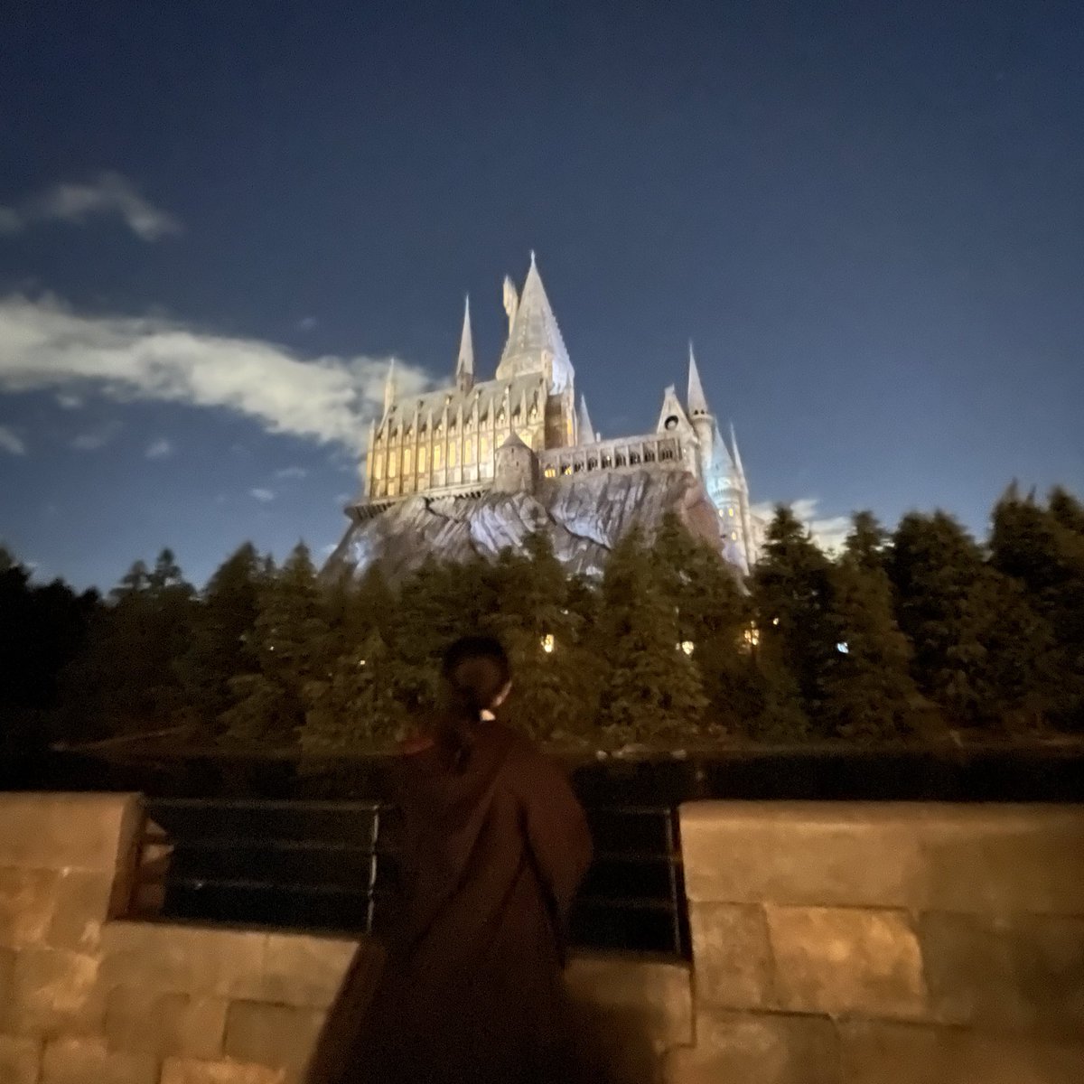 m__rjl's tweet photo.  ︎︎
𝘎𝘳𝘺𝘧𝘧𝘪𝘯𝘥𝘰𝘳︎︎︎┊︎𝘙𝘦𝘮𝘶𝘴 𝘓𝘶𝘱𝘪𝘯︎┊︎𝟸𝟶↑

ハリーポッターの世界が大好きです

↺ or ♡ で気になった方お迎えさせて下さい☽⋰
 ︎︎
#HarryPotter #harrypotter #Gryffindor 
#ハリポタ好きな人と繋がりたい
#ハリポタ好きさんと繋がりたい https://t.co/CCFq8lraqe